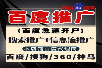 深度解析：百度推广代运营的成功要素